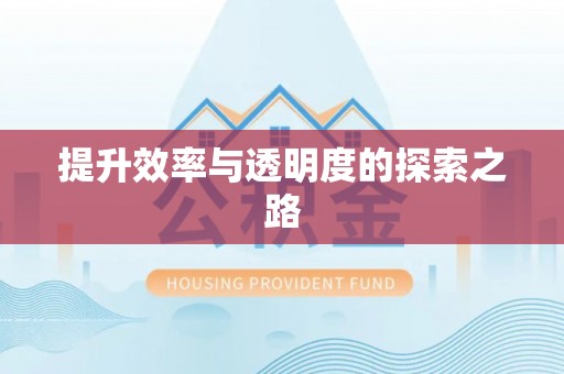 房山提升效率与透明度的探索之路