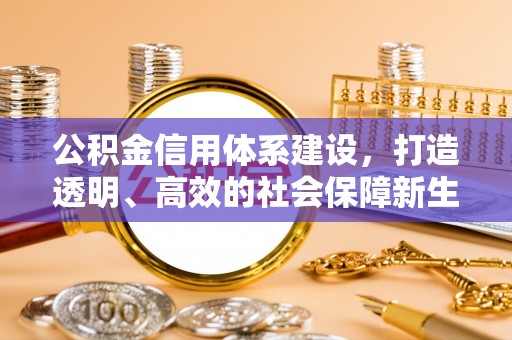 房山公积金信用体系建设，打造透明、高效的社会保障新生态